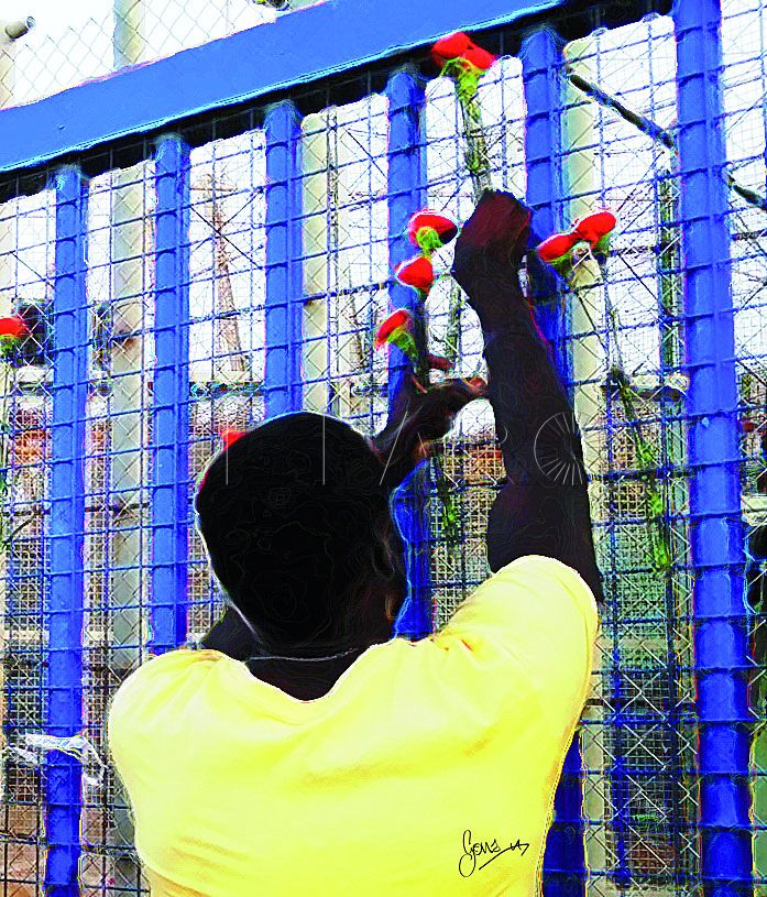 24J, un año después