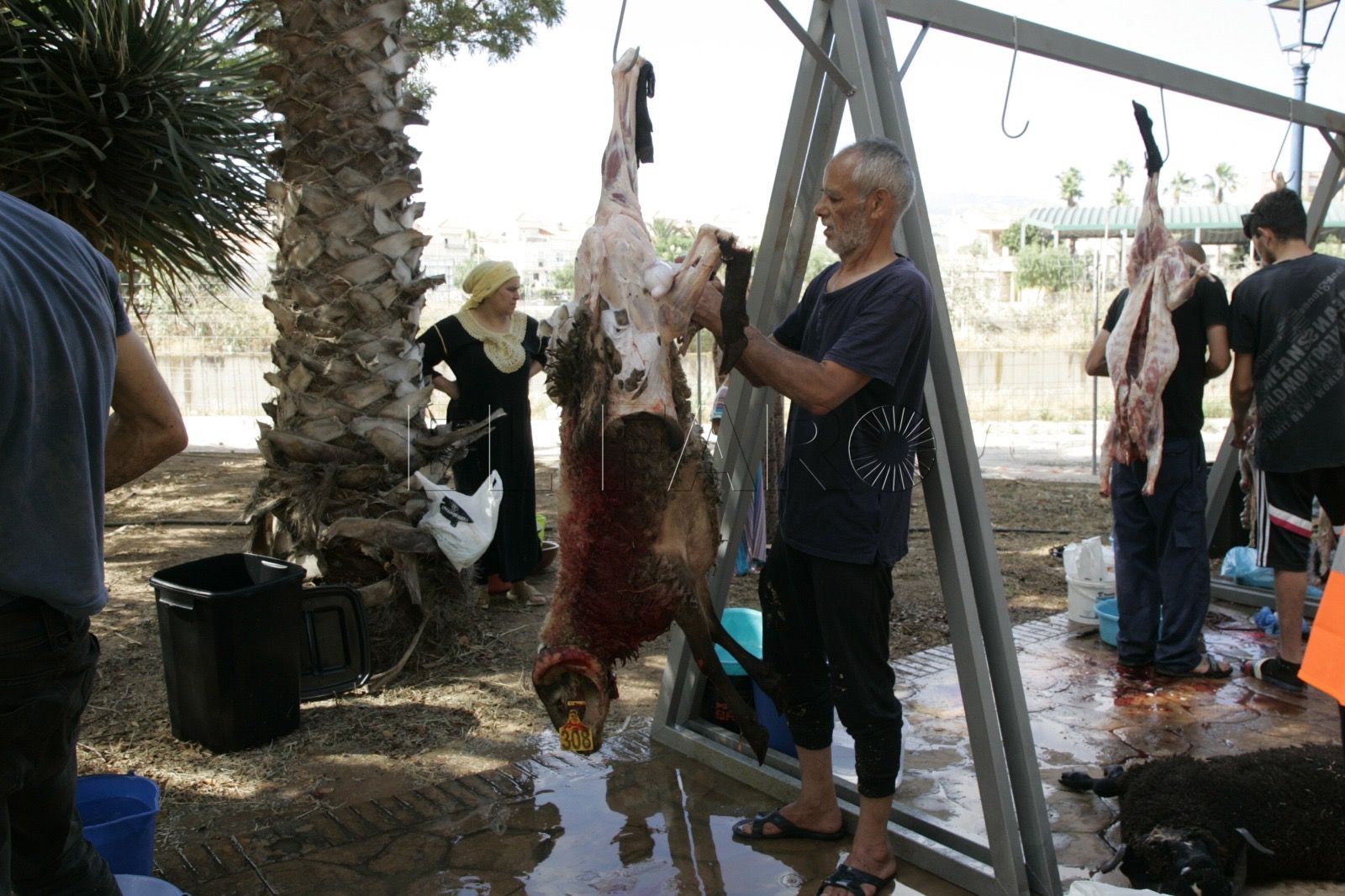 La Fiesta del Borrego, con los precios de la carne por las nubes en Melilla