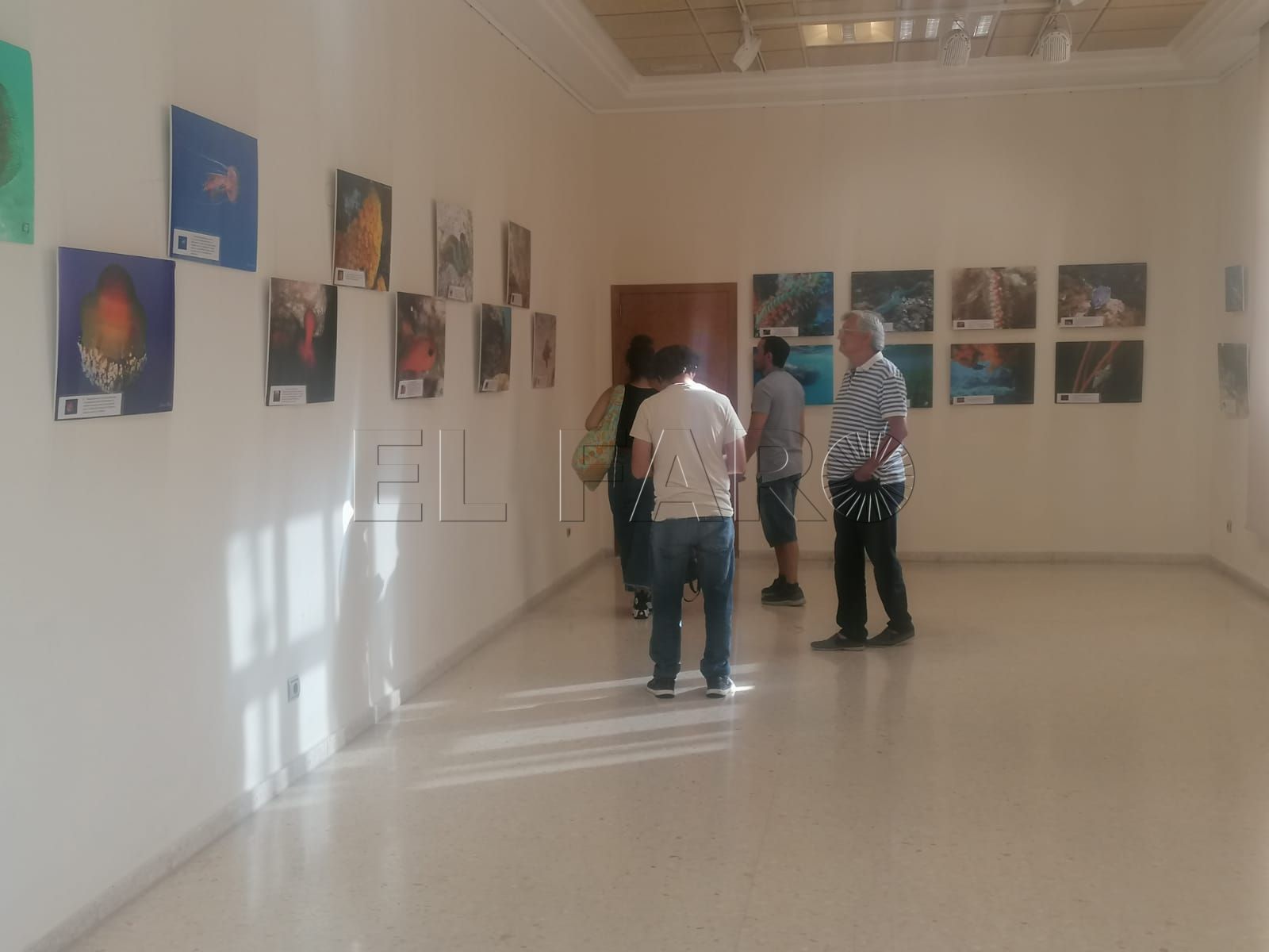 El Club Marítimo se rinde ante los fondos marinos de Melilla