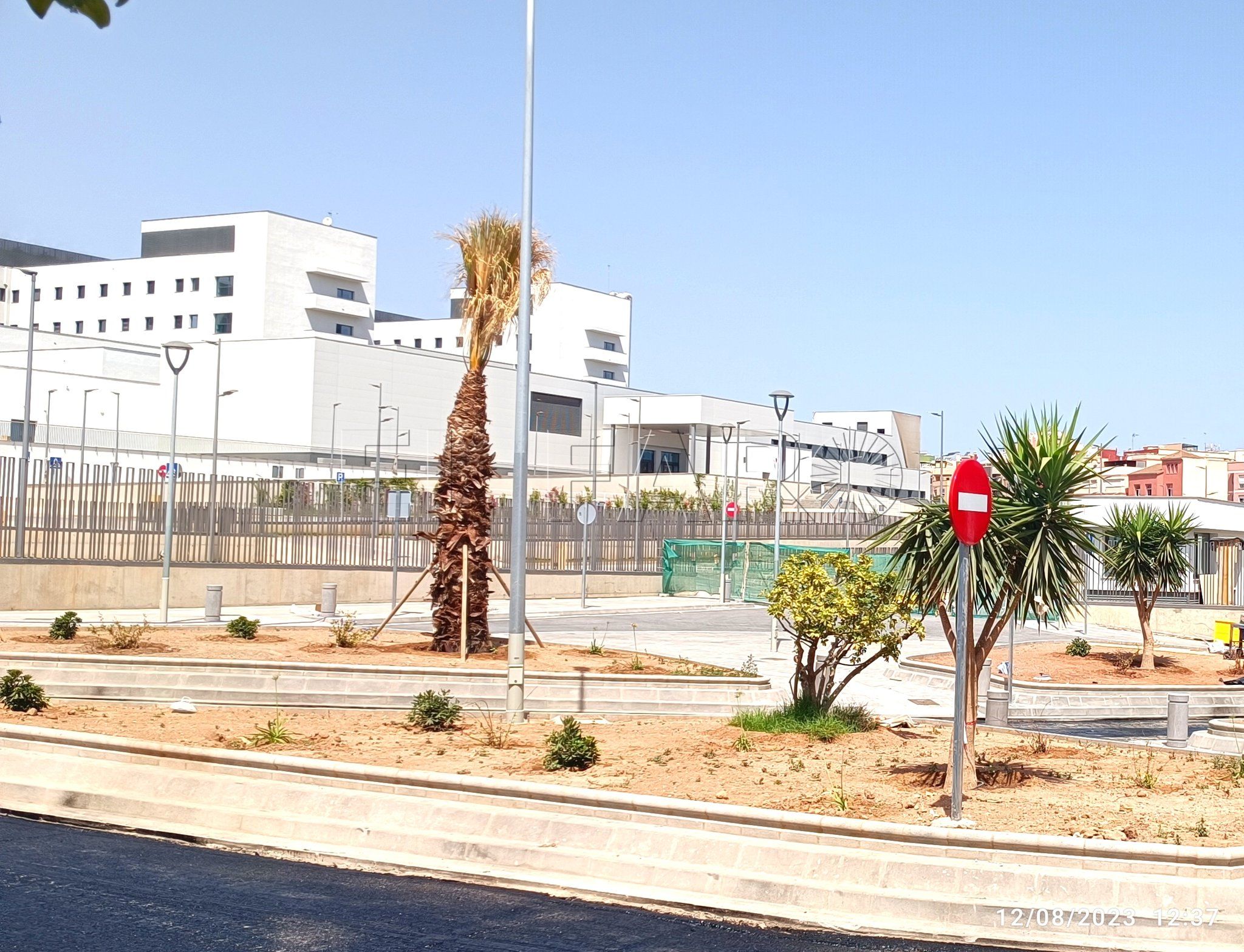 Ecologistas denuncian la falta de árboles ante la emergencia climática