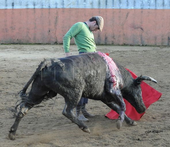 Antitaurinos califican de 'indecente' gastar dinero público en una corrida de toros en Melilla