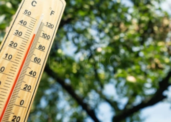 Wooden thermometer with red measuring liquid showing high temperature over 36 degrees Celsius on sunny day on background of apple tree. Concept of heat wave, warm weather, global warming, climate.