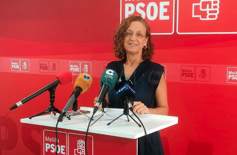 El PSOE pide que no se abandone el proyecto del nuevo campus universitario