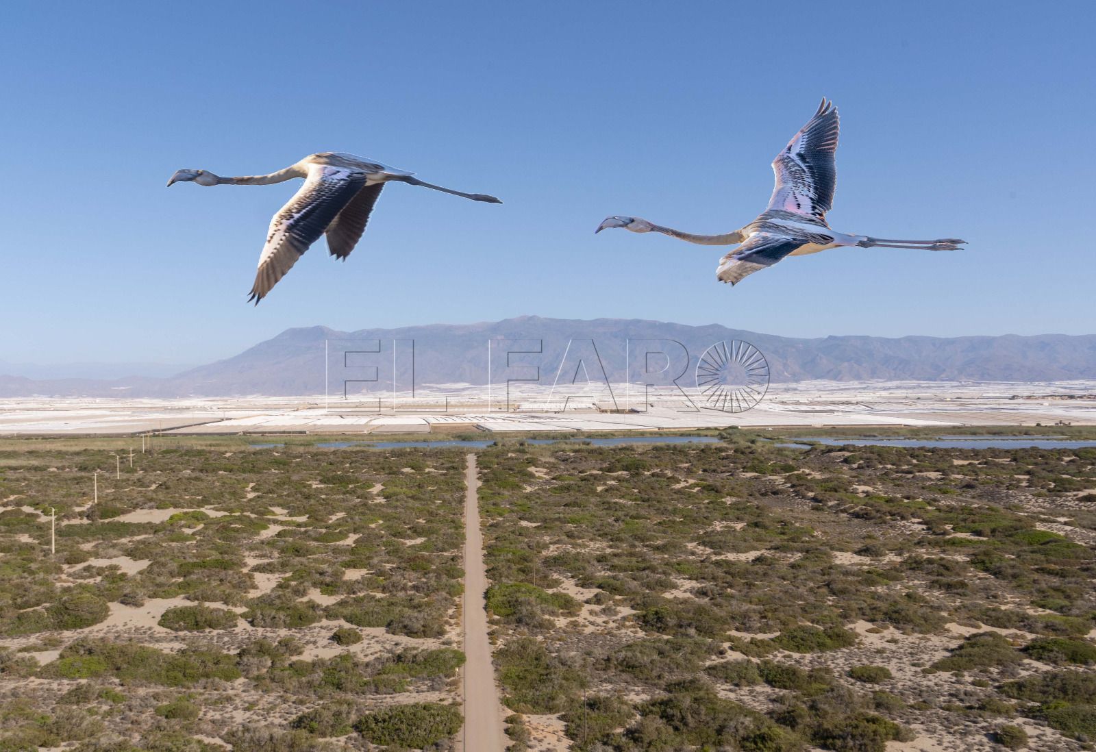 El Ejido también es naturaleza