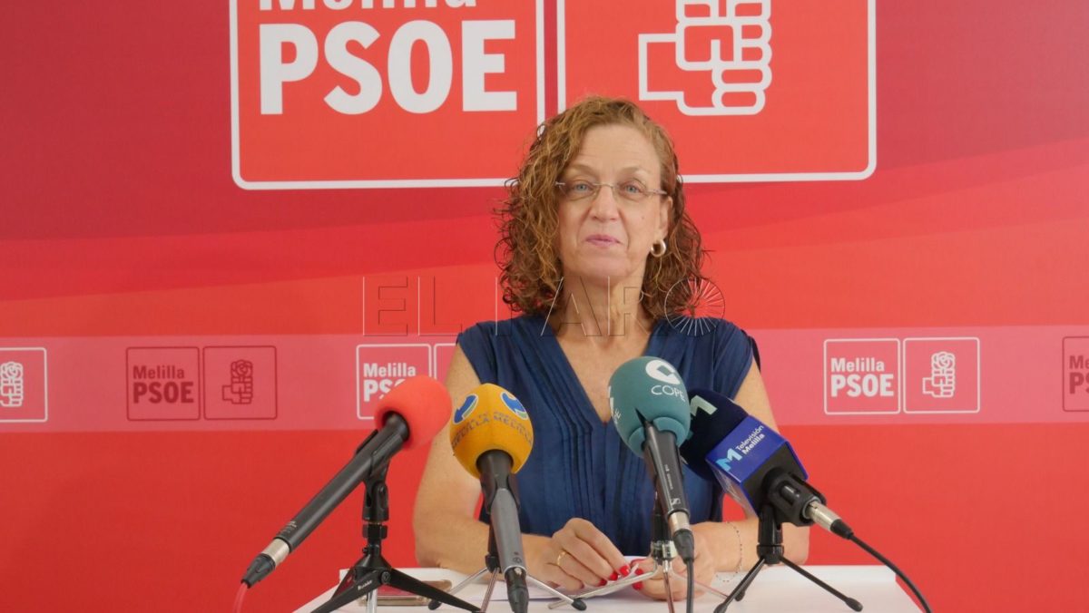 El Partido Socialista considera que el PP ha utilizado los casos de rabia en la ciudad de forma partidista