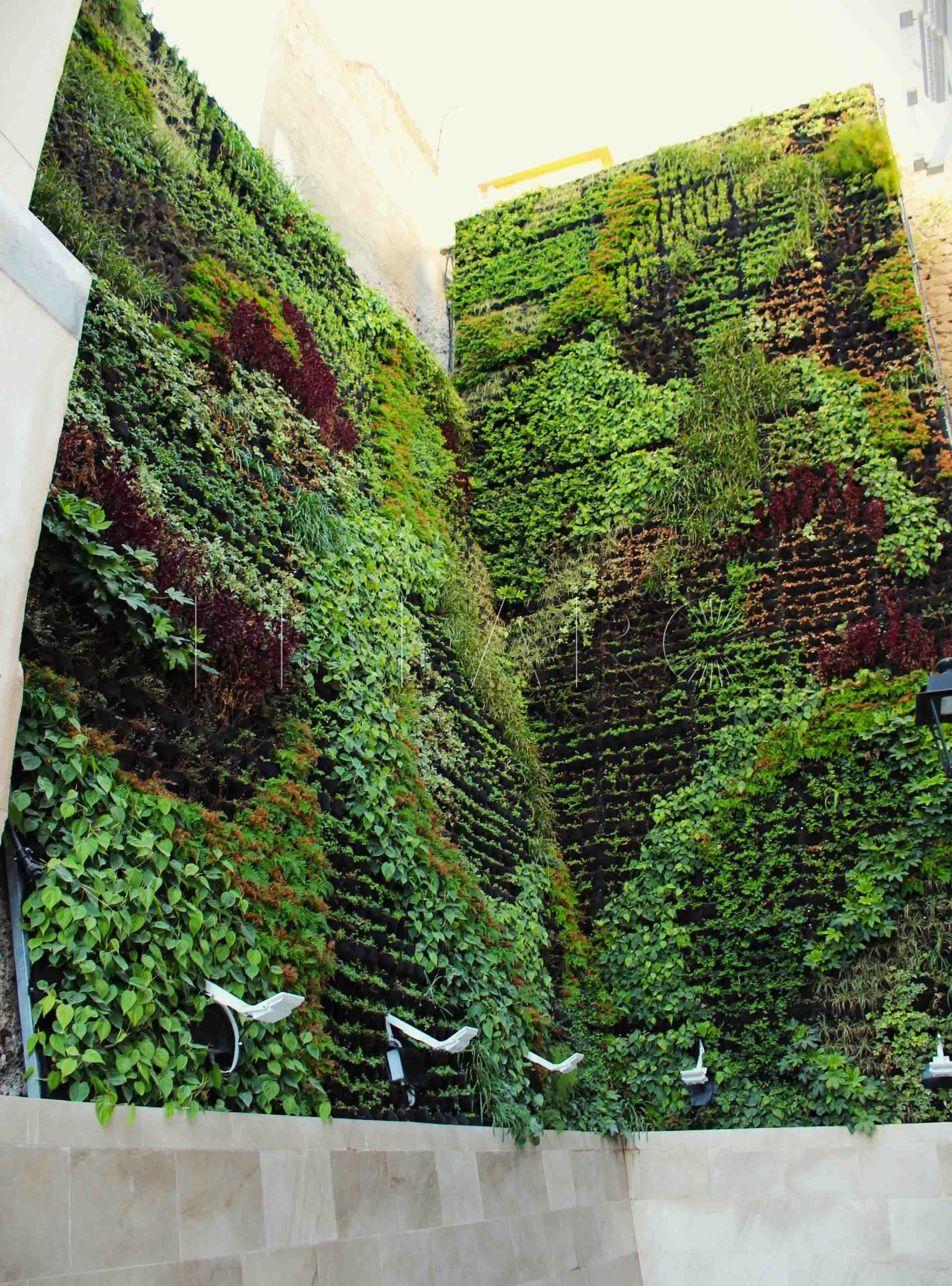 El jardín vertical de Mariscal Sherlock da la bienvenida al alumnado del conservatorio en su vuelta al trabajo