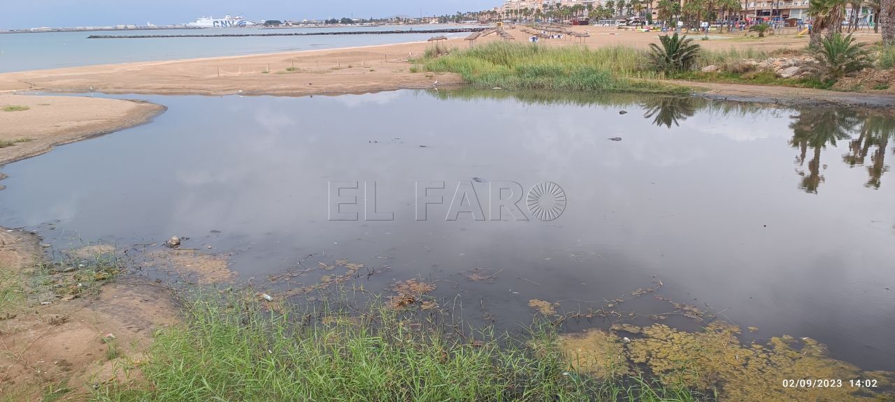 Un vertido en el río causa la muerte de cientos de peces