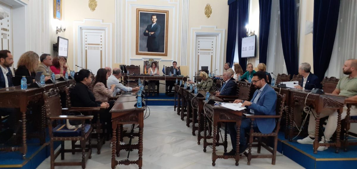 Designación Diputados