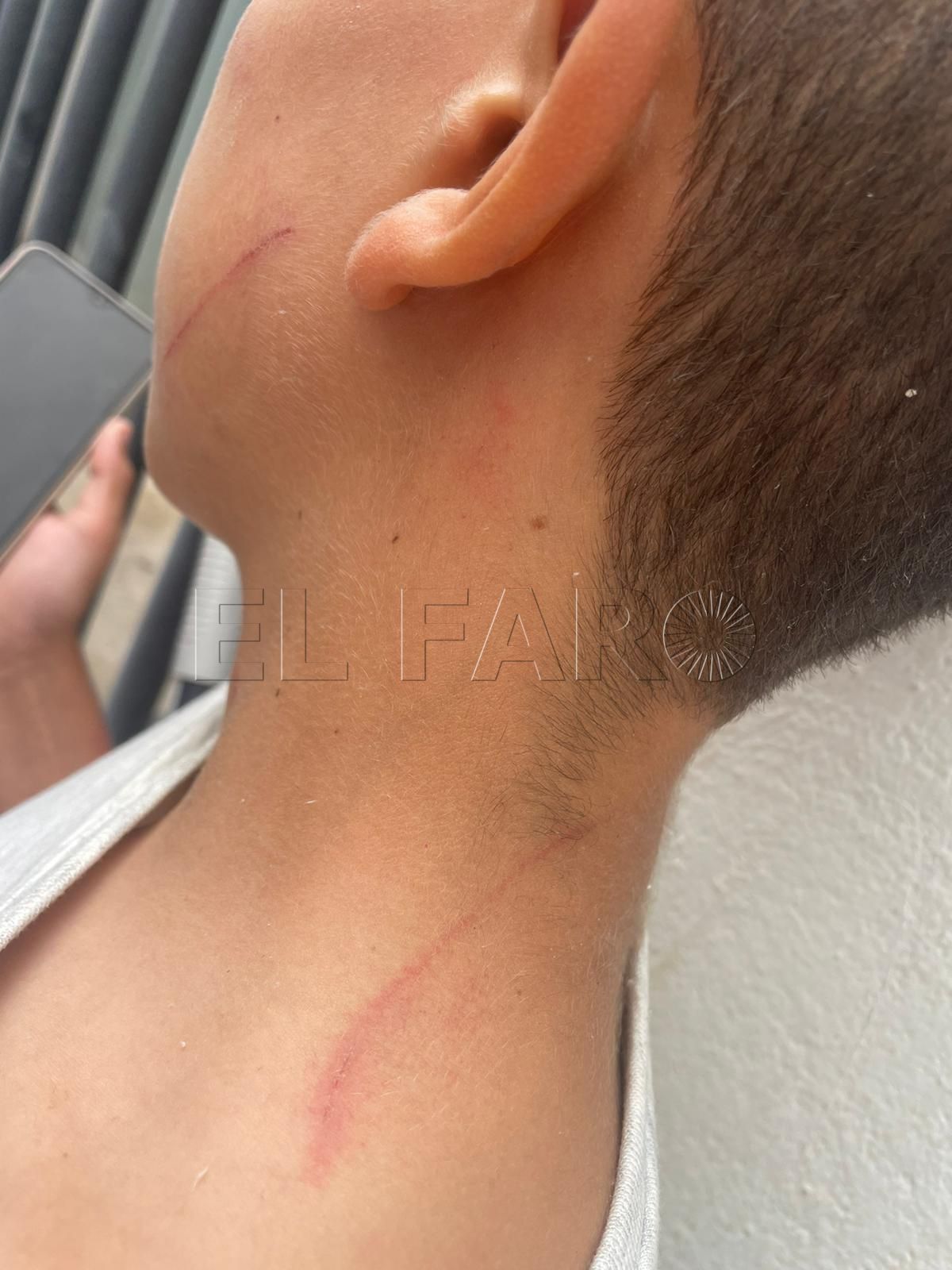 CSIF aclara que la actuación de los docentes del Enrique Nieto fue la correcta