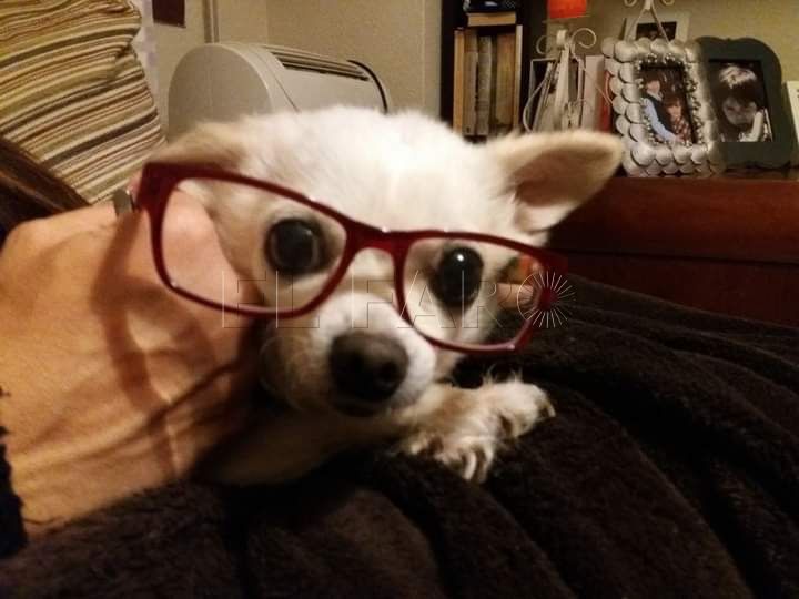 Día de todos los Santos Difuntos