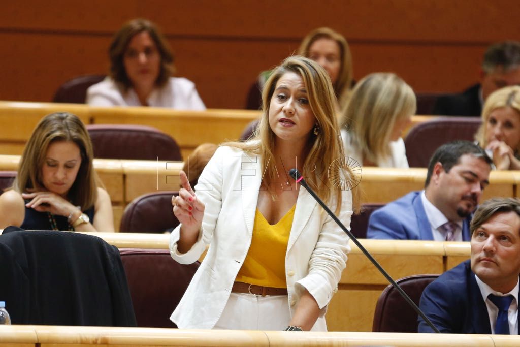 Acedo: “Es vergonzosa la postura del PSOE de Melilla con la amnistía”