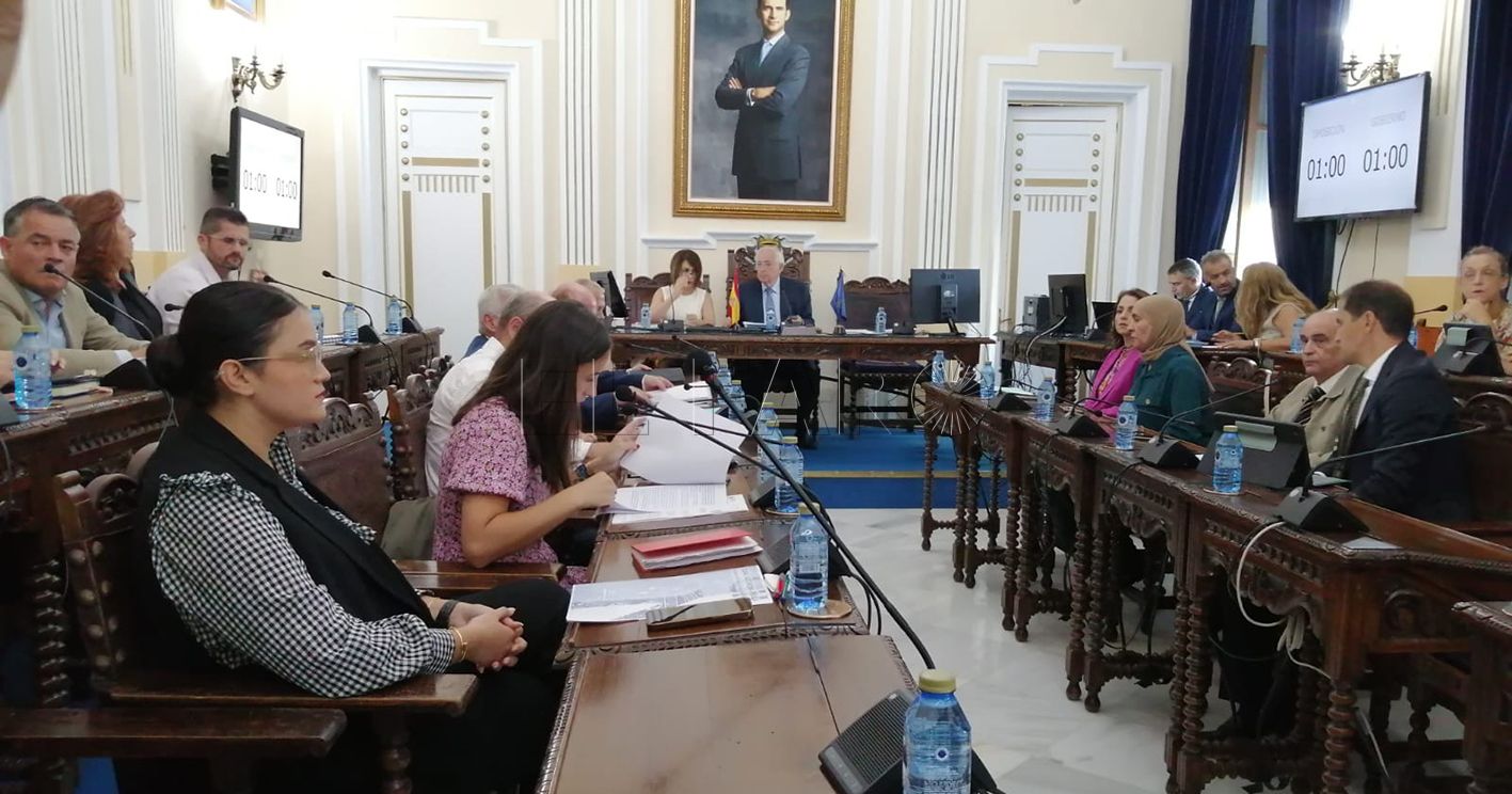 Conesa defiende la declaración de las líneas aéreas a Málaga y Madrid como servicio público