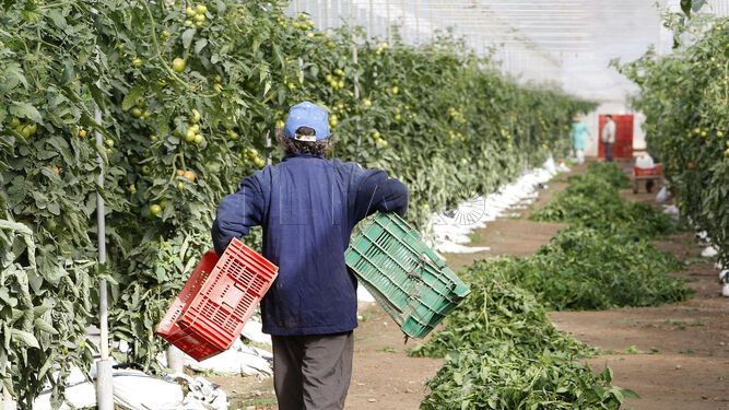 Cómo eliminar el desempleo en Melilla