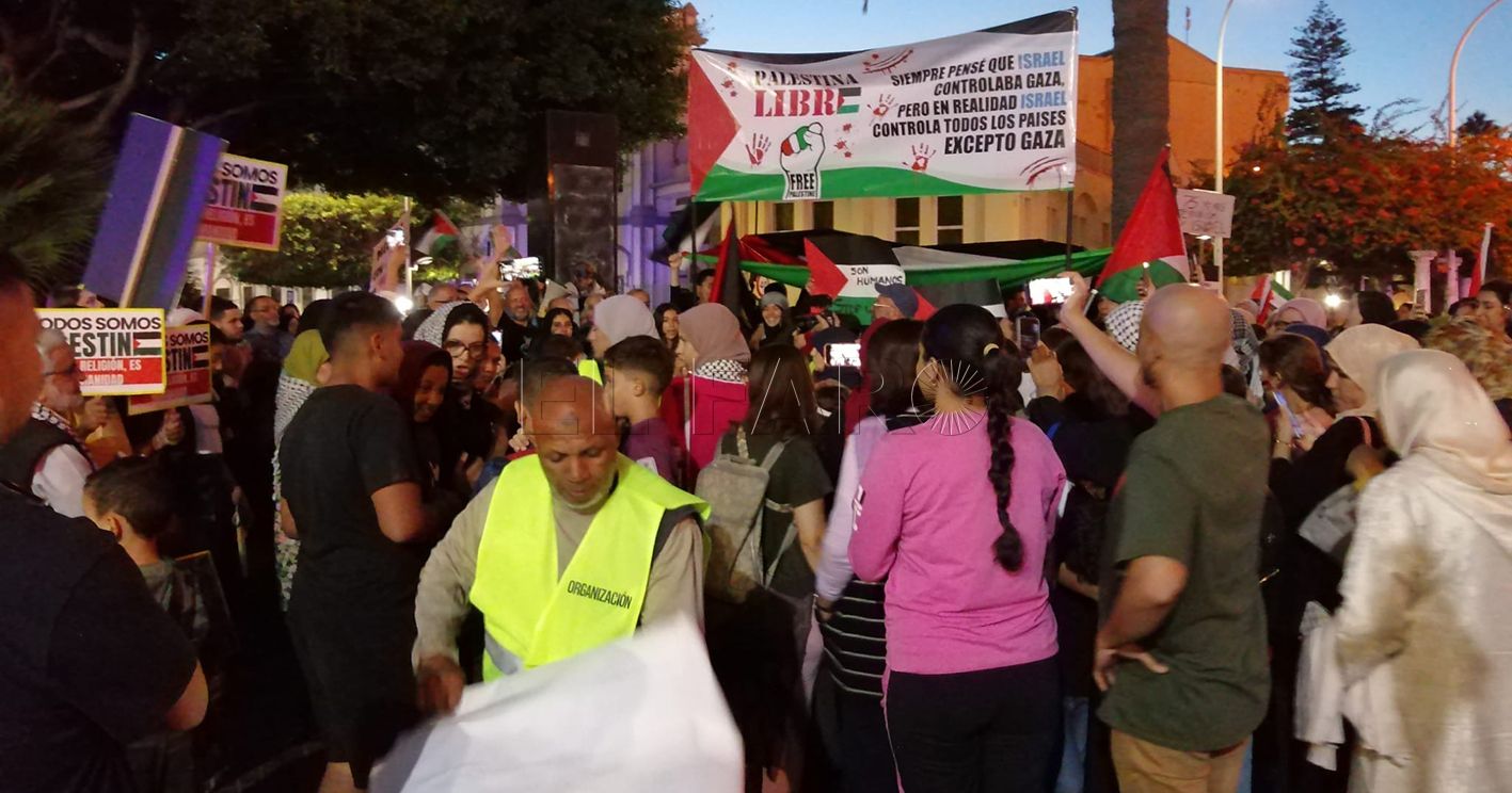 Convocan una "gran marcha por Palestina" el día 29 de noviembre