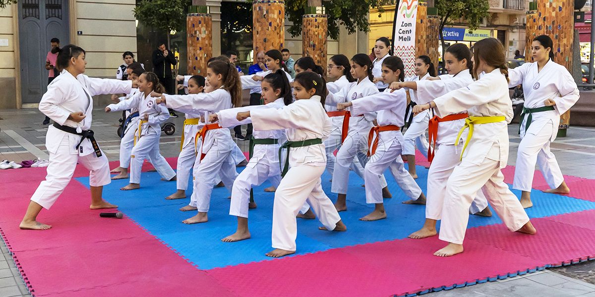 Exhibición de Kárate en la Plaza Menéndez Pelayo.