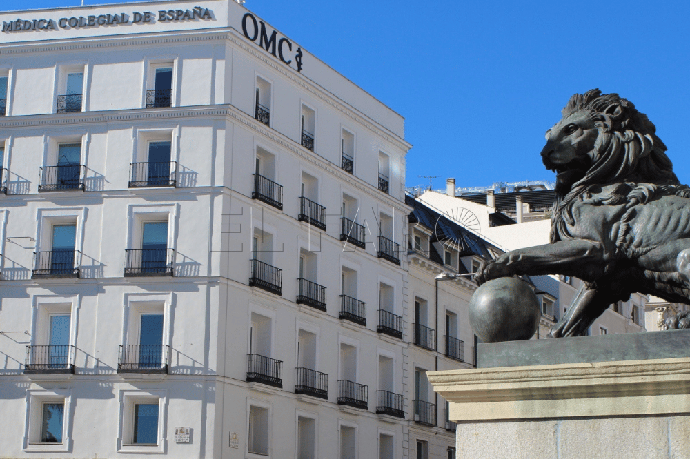 Ceuta y Melilla exponen ante el pleno del Consejo General de los médicos la crítica situación de su sanidad