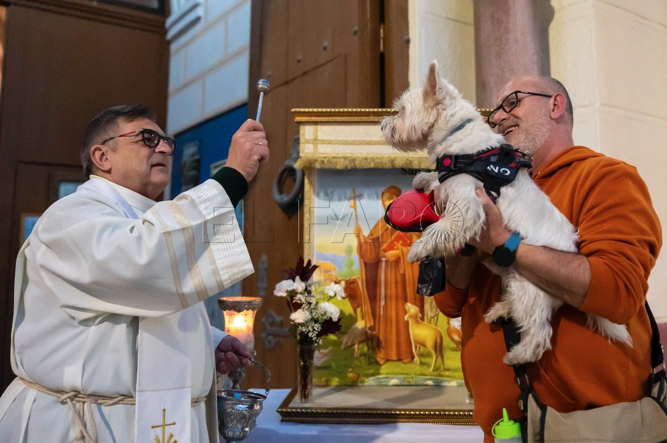 Las mascotas son bendecidas por San Antón