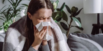 Close up of sick woman sitting on sofa freezing blowing running nose got fever caught cold sneezing in tissue, ill brunette girl covered with blanket, having influenza symptoms coughing at home