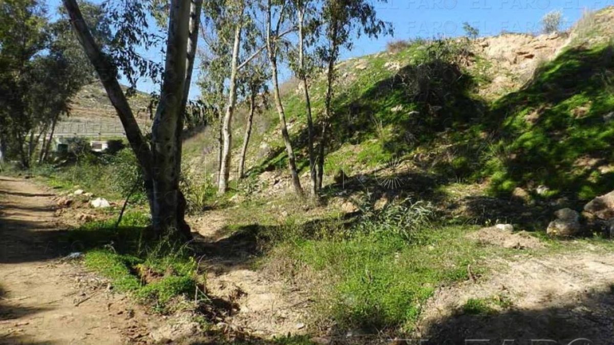 Las elevadas temperaturas de enero afectan a la biodiversidad de Melilla