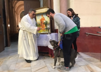 Un año más las mascotas serán bendecidas por San Antón