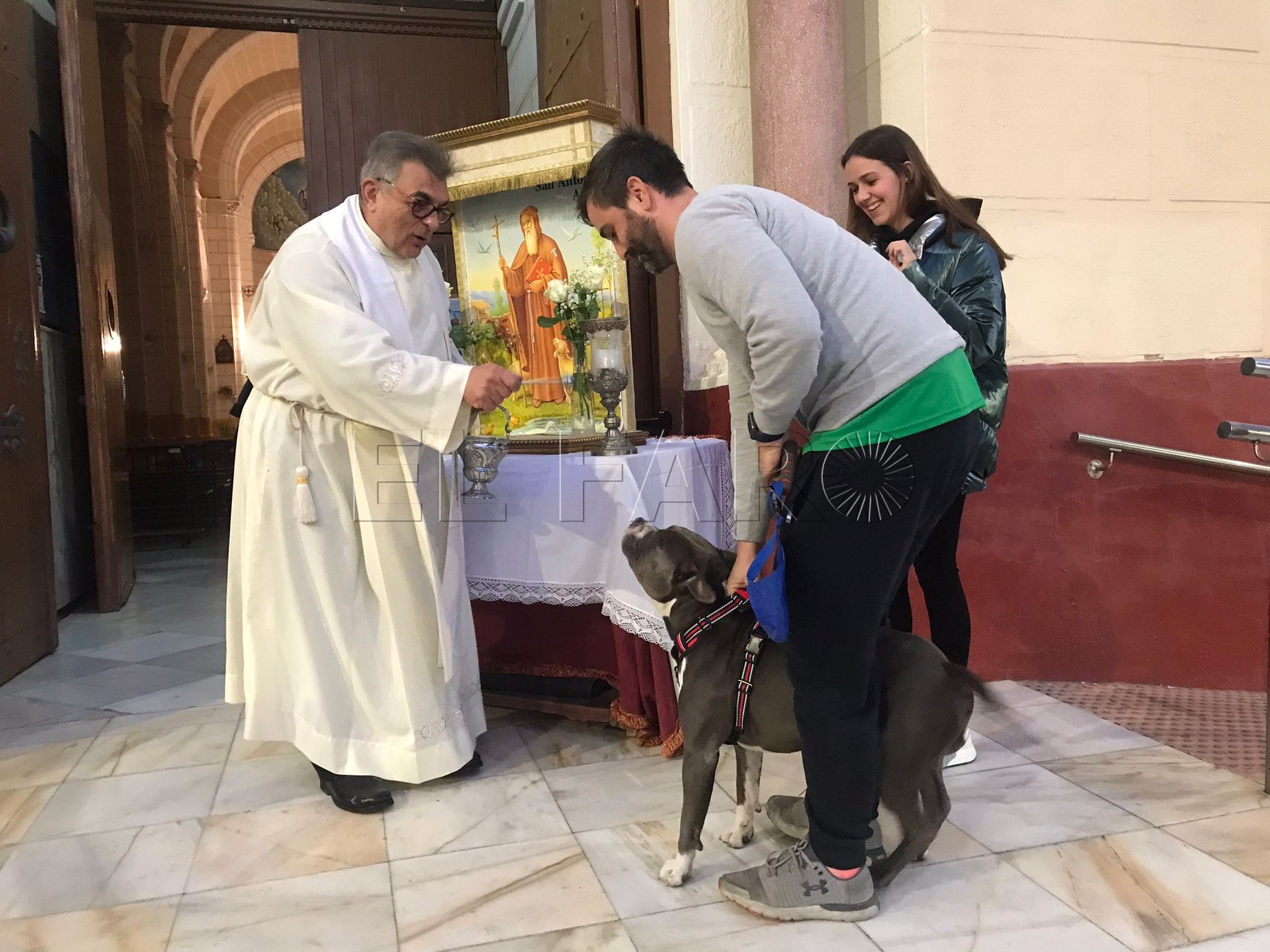 Un año más las mascotas serán bendecidas por San Antón