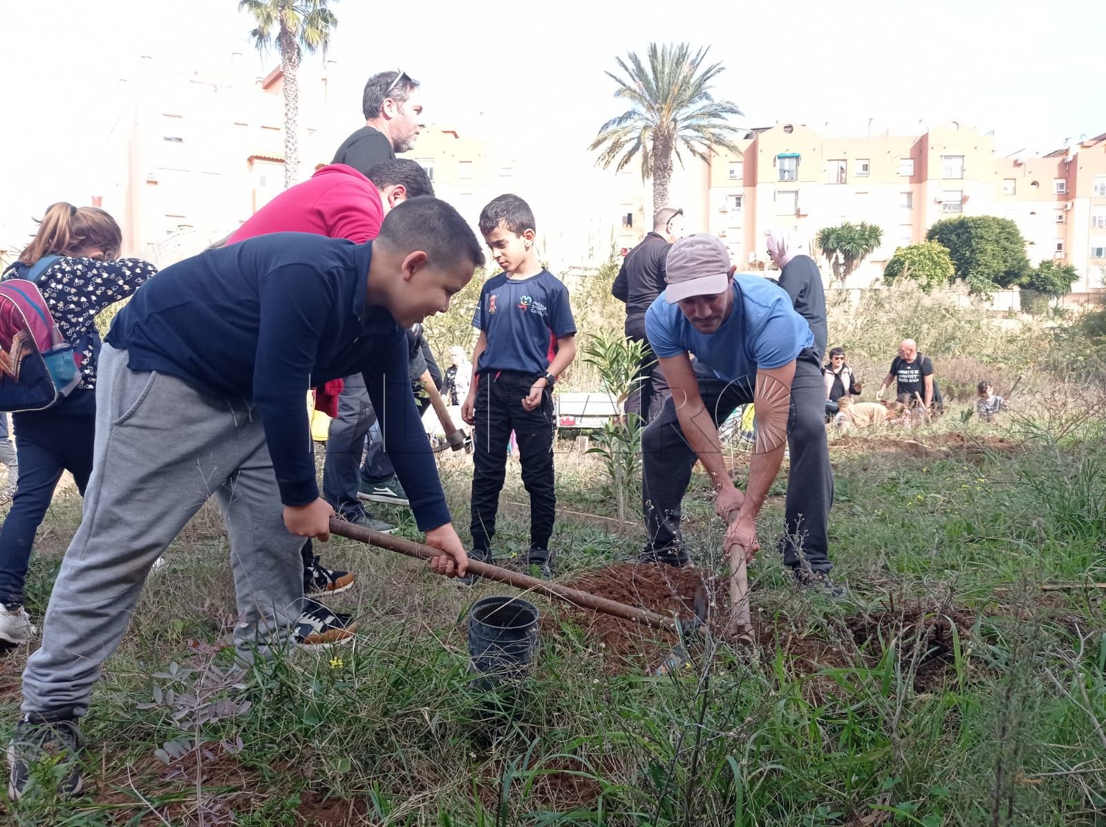 Exitosa plantación solidaria de Guelaya