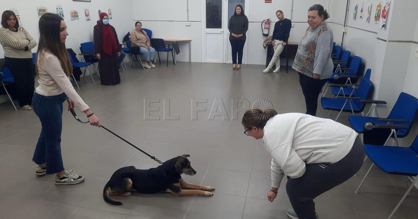 La Ciudad lleva a cabo un programa de terapia asistida con animales