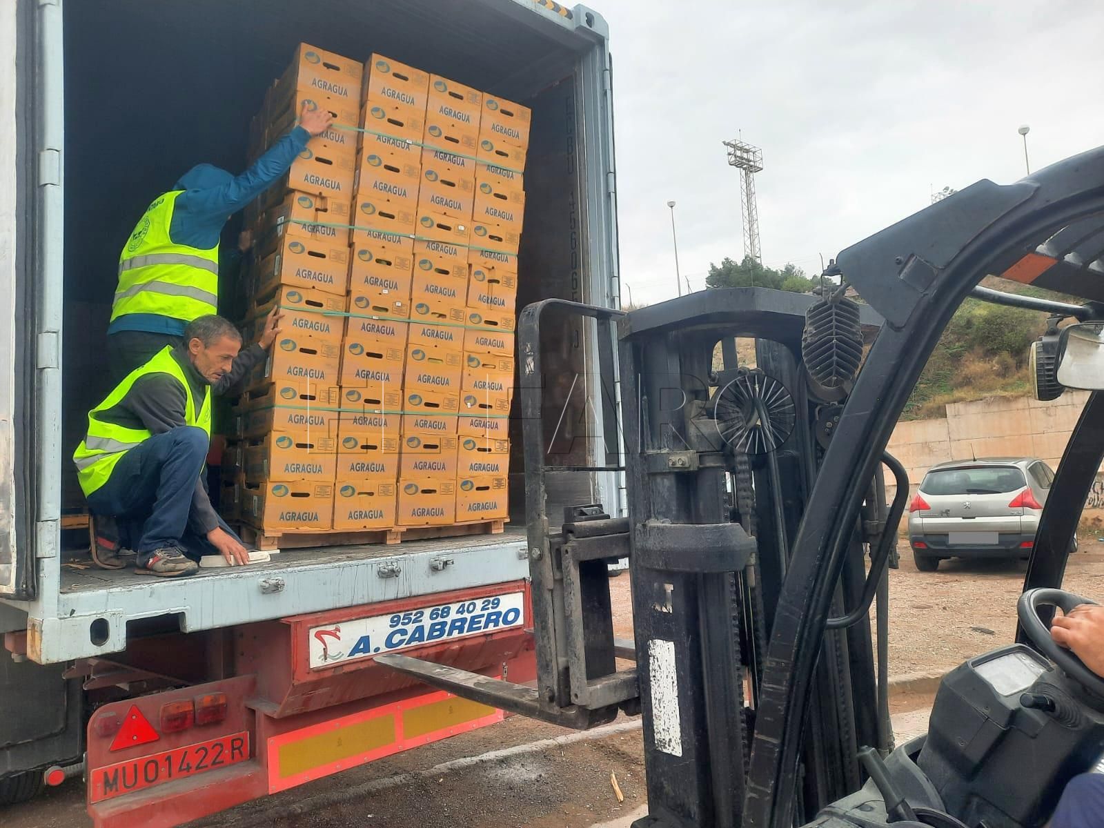 Llegan al Banco de Alimentos 11.400 kilos de plátanos de Canarias