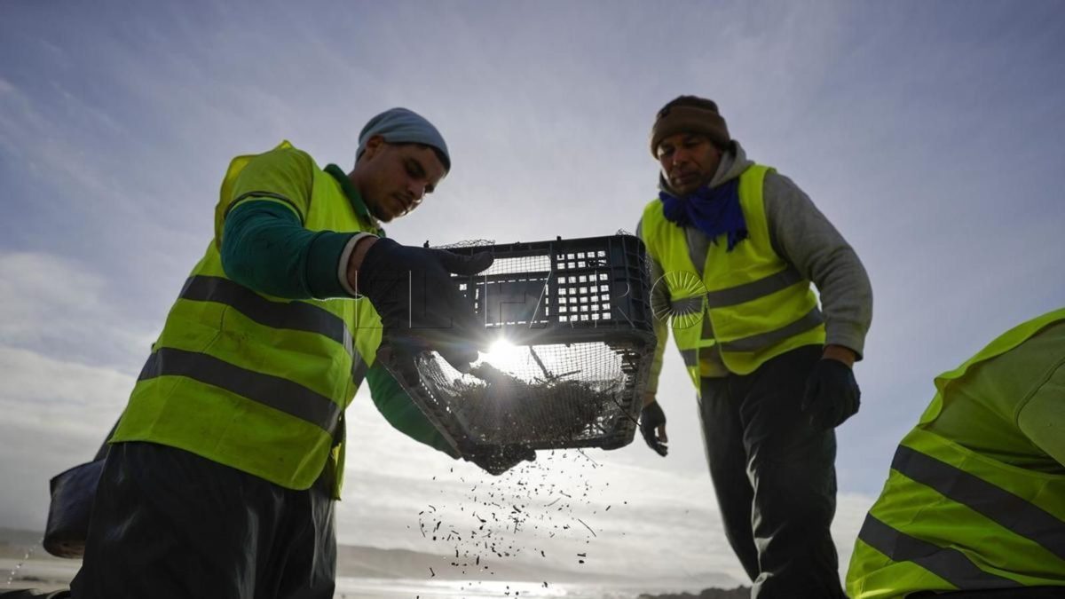 Pellets y educación ambiental