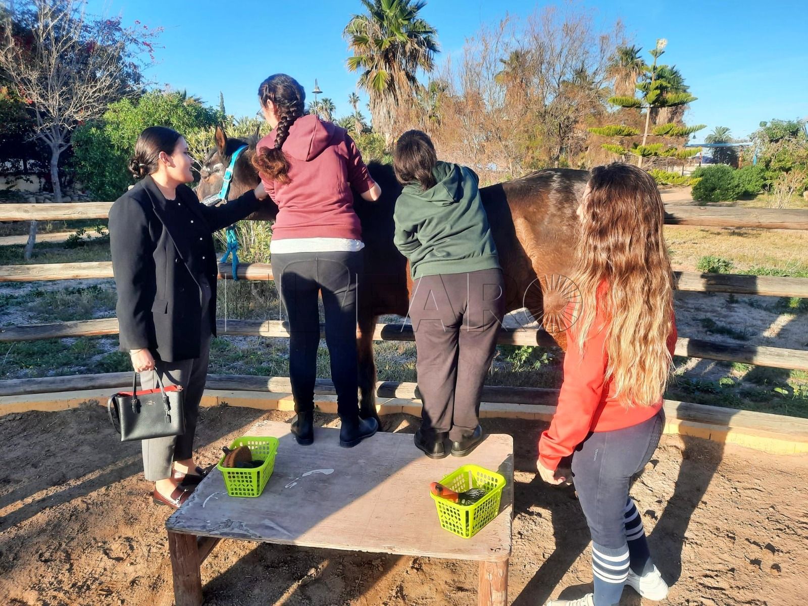 El Gobierno se compromete a potenciar la equinoterapia