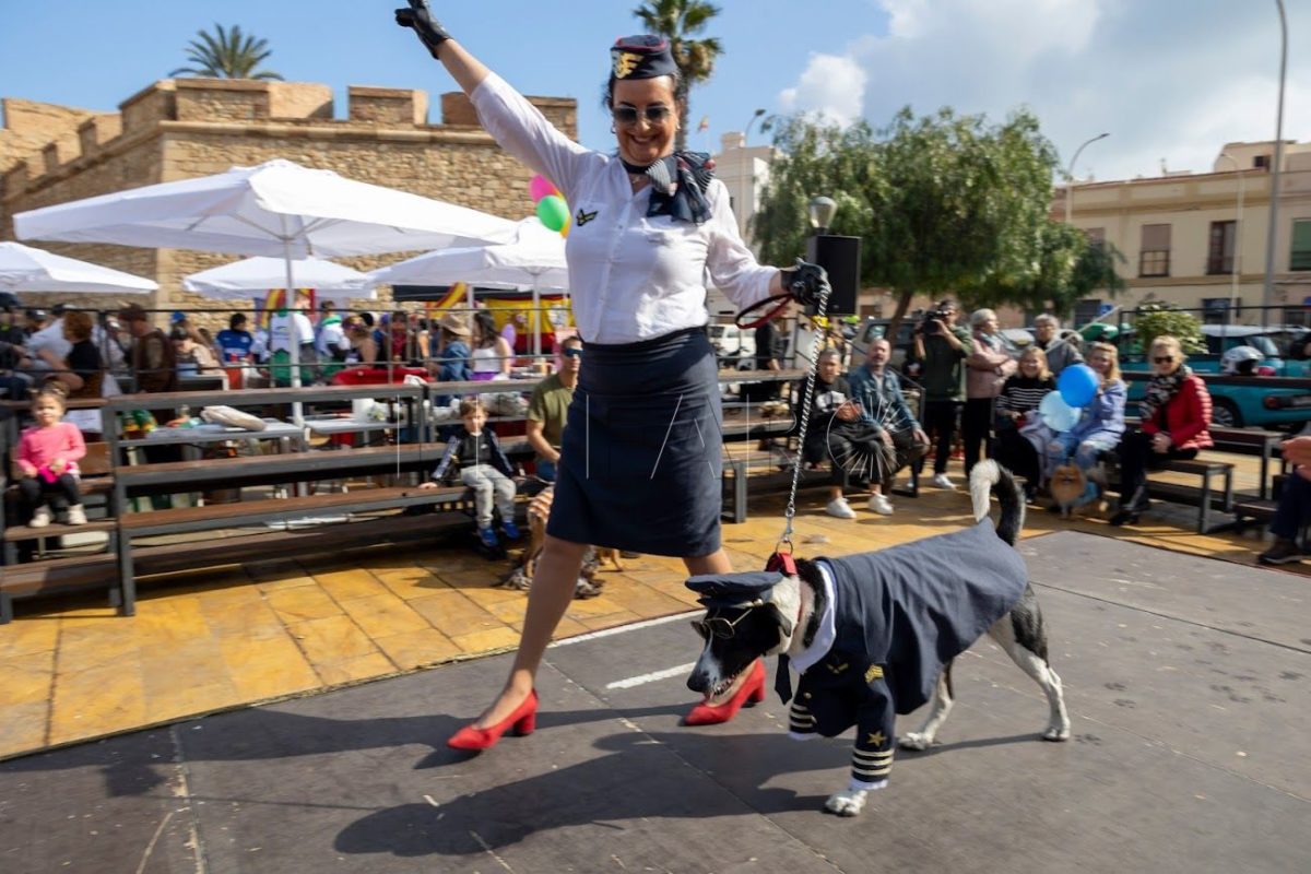 El piloto Rey vence en el Concurso de Disfraces de Mascotas de este 2024
