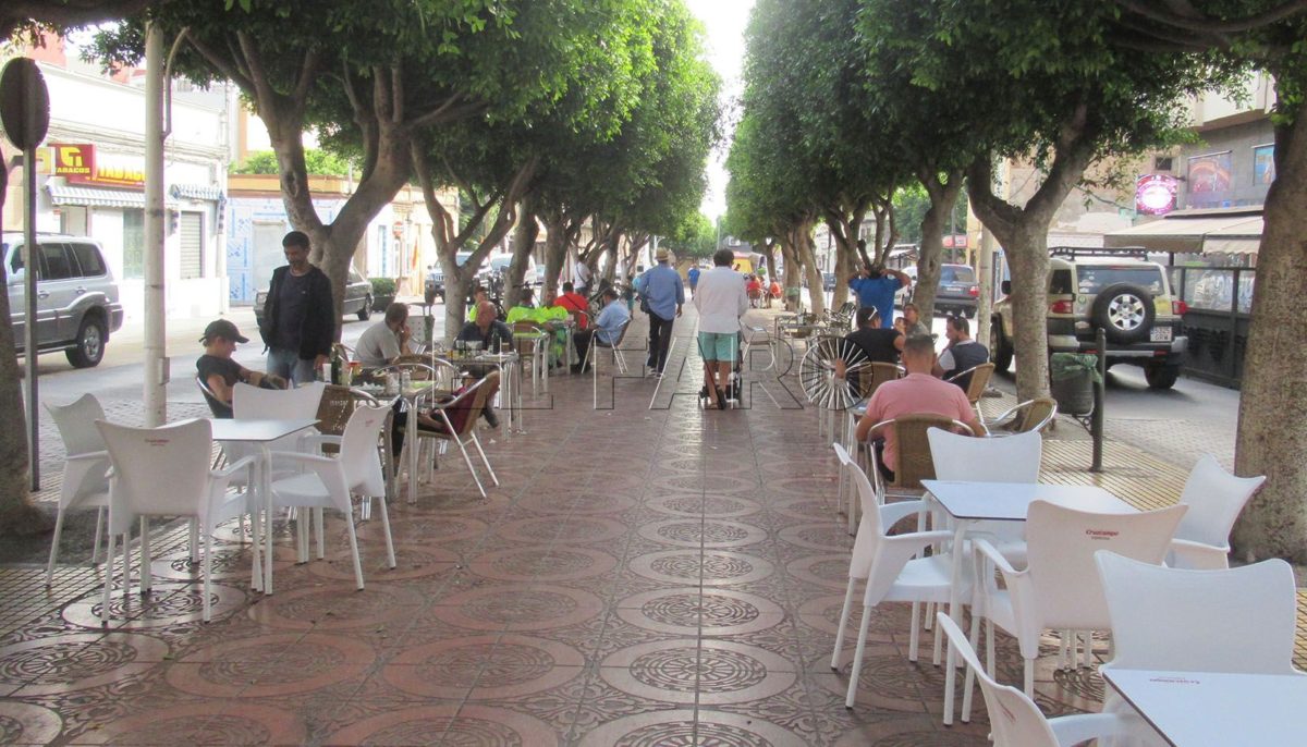 Los vecinos del Real, molestos con la poda de los ficus de la calle La Legión