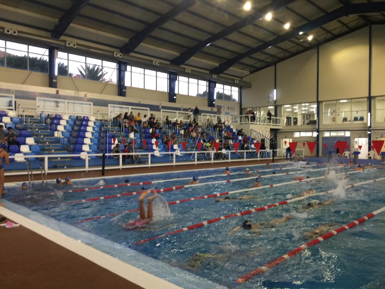 Grandes marcas en la natación local