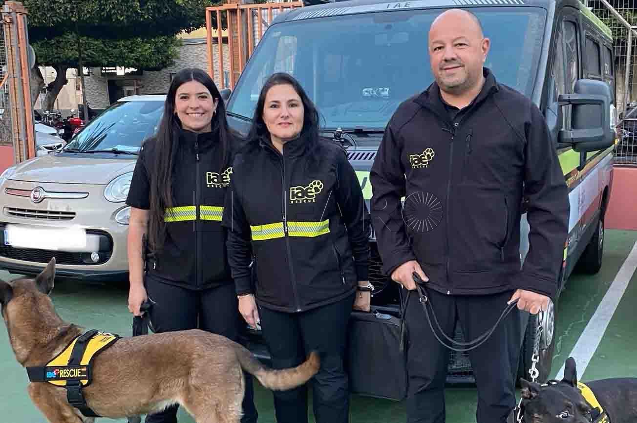 Equipos caninos, en el Reina Victoria Eugenia para el ciclo de emergencias sanitarias