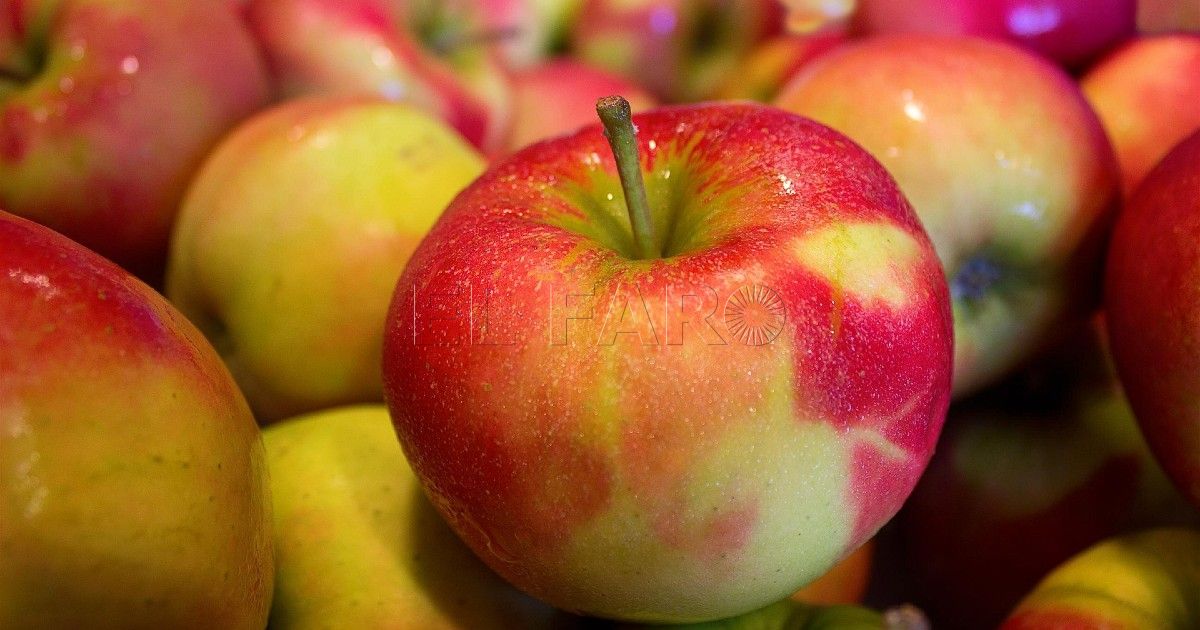 Llega a Melilla la campaña de visibilidad enfermera