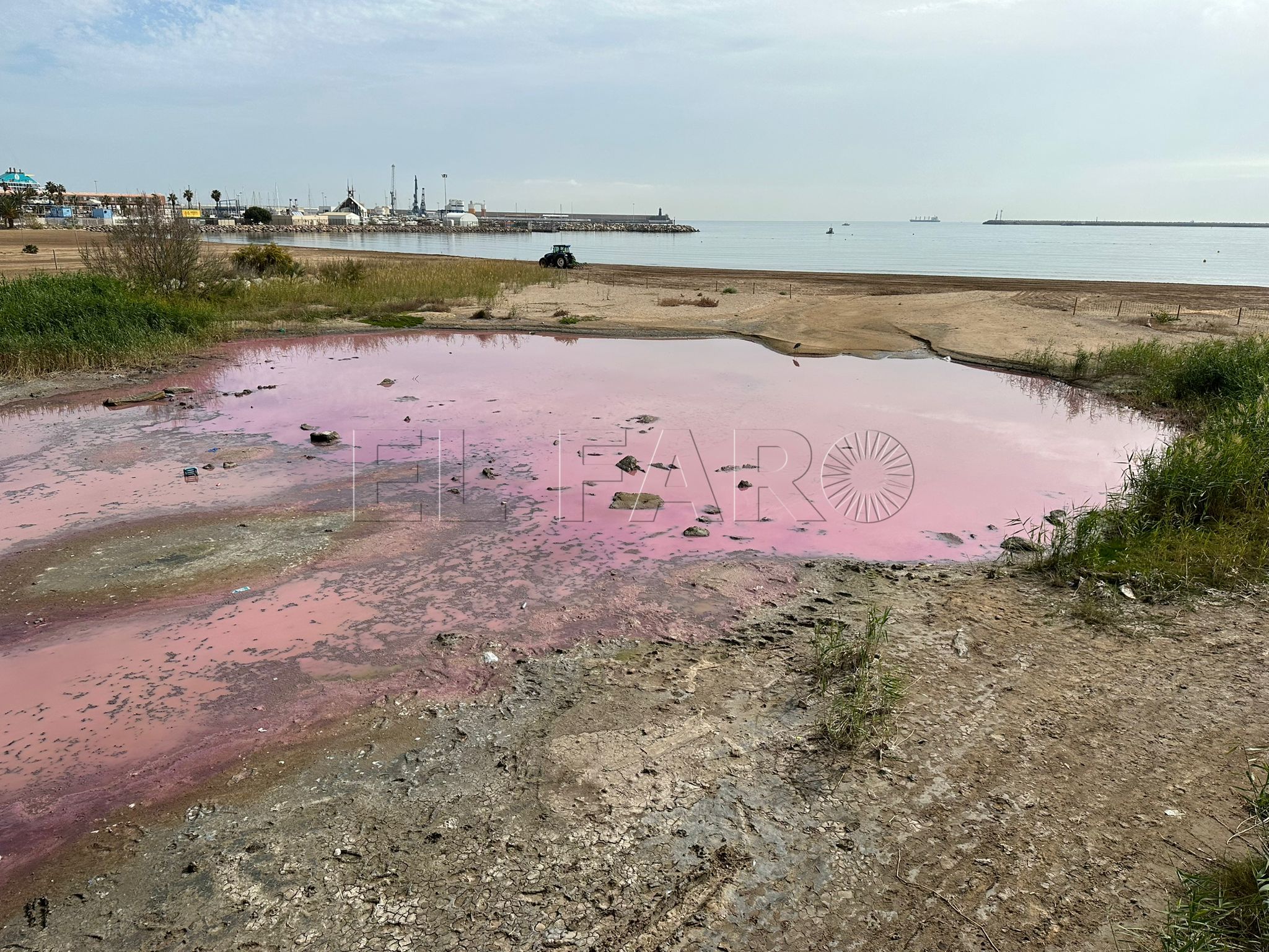 Una explosión bacteriana tiñe de rosa la desembocadura del río de Oro