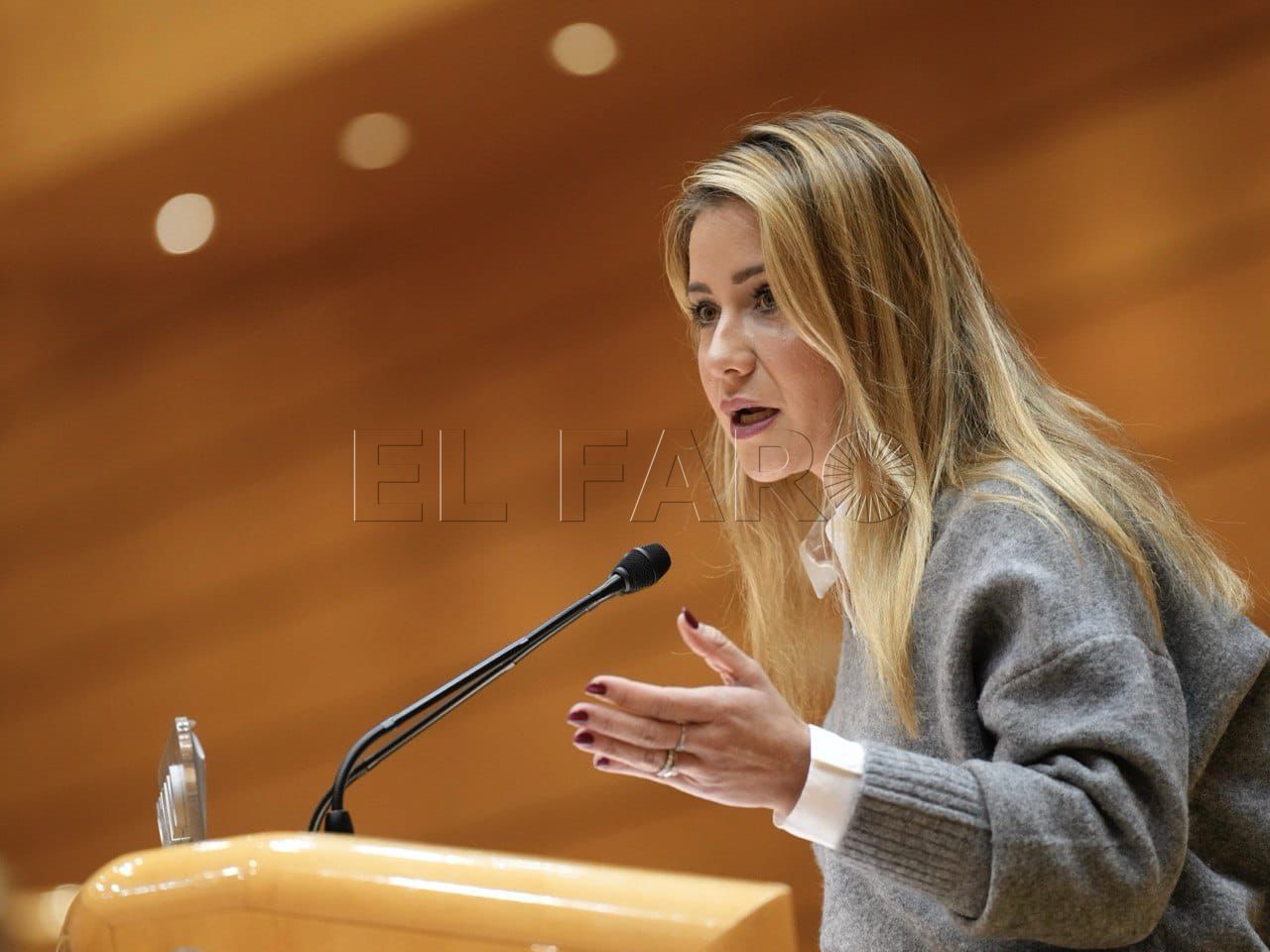 El PP culpa a la delegada de "traicionar" a los melillenses con la bonificación