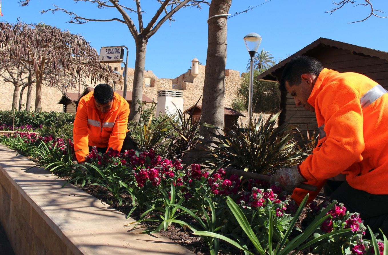 'Melilla en flor', el gran trabajo tras un proyecto de largo recorrido