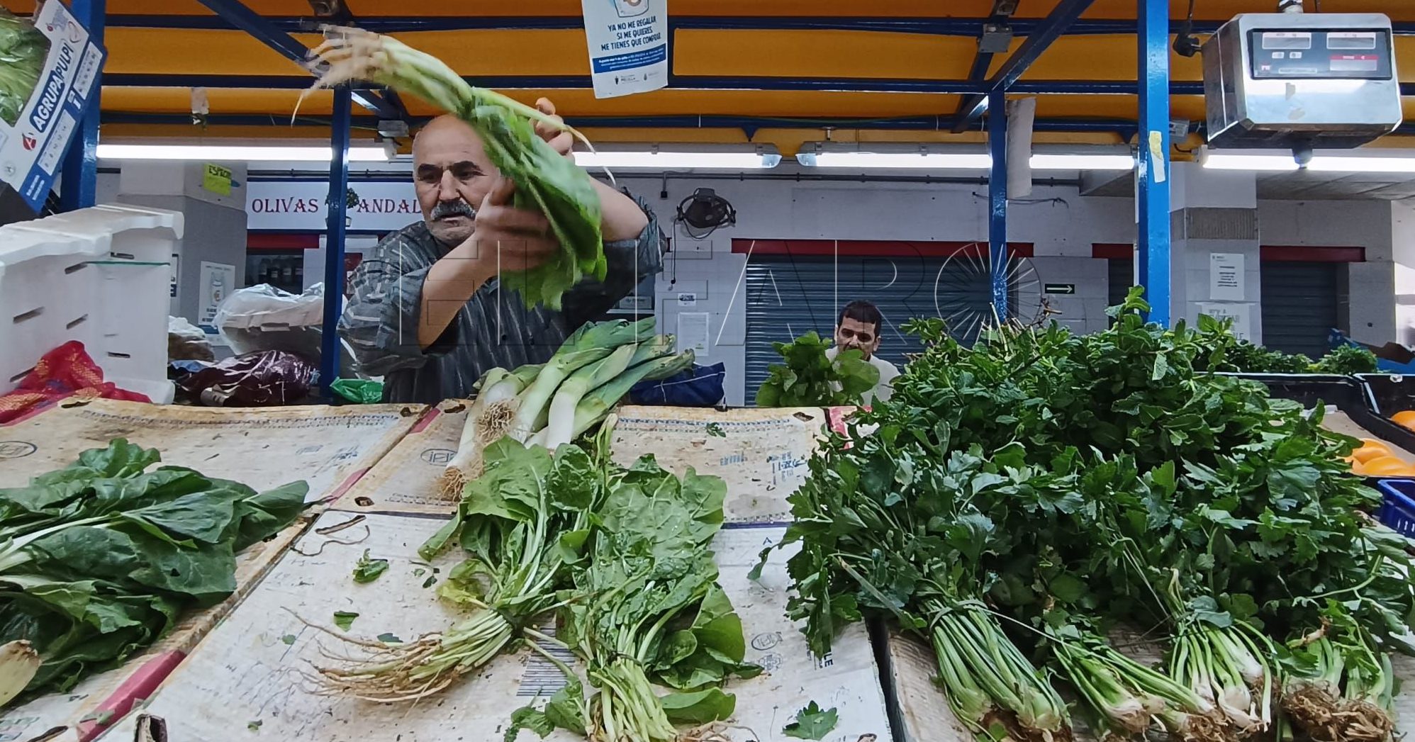 Las hortalizas y las legumbres, los alimentos que menos suben en el mercado