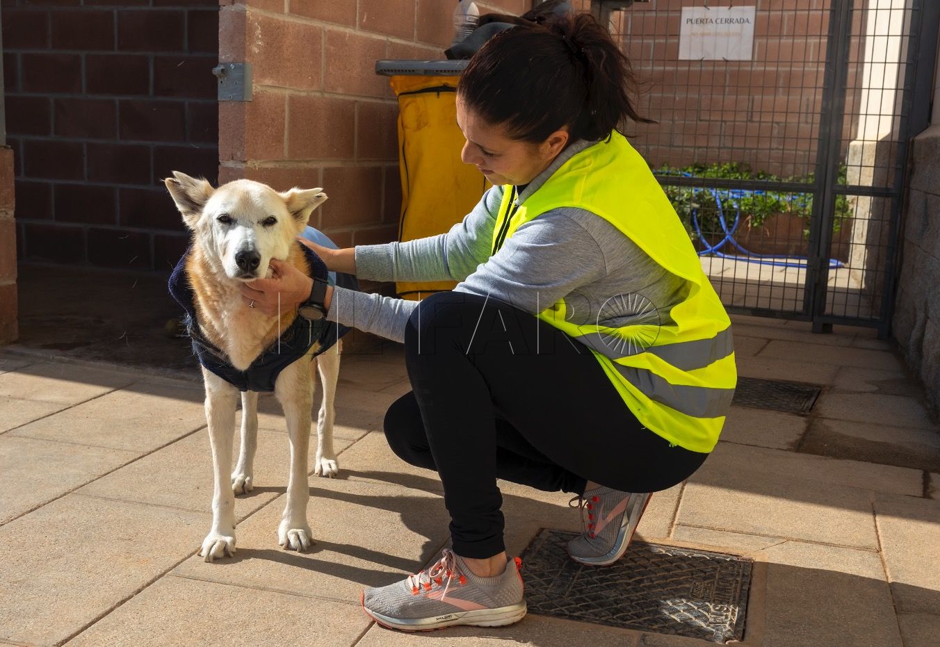 La Protectora de Animales convoca un evento por su 55 cumpleaños