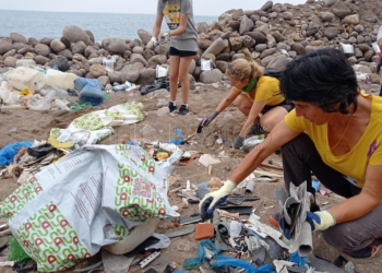 Ecologistas de Guelaya recogiendo basura marina en la playa de Horcas Coloradas.