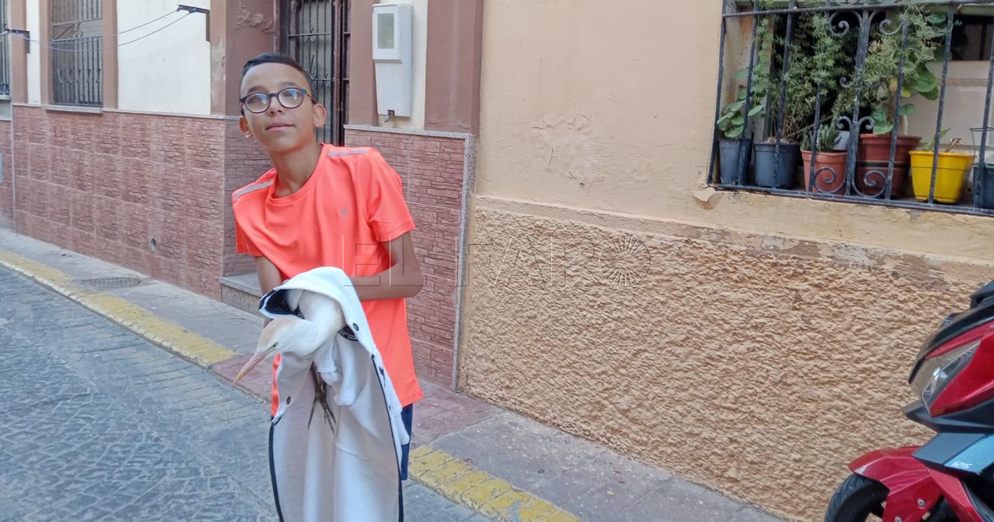 Dos niños rescatan a una garza extraviada en Ataque Seco