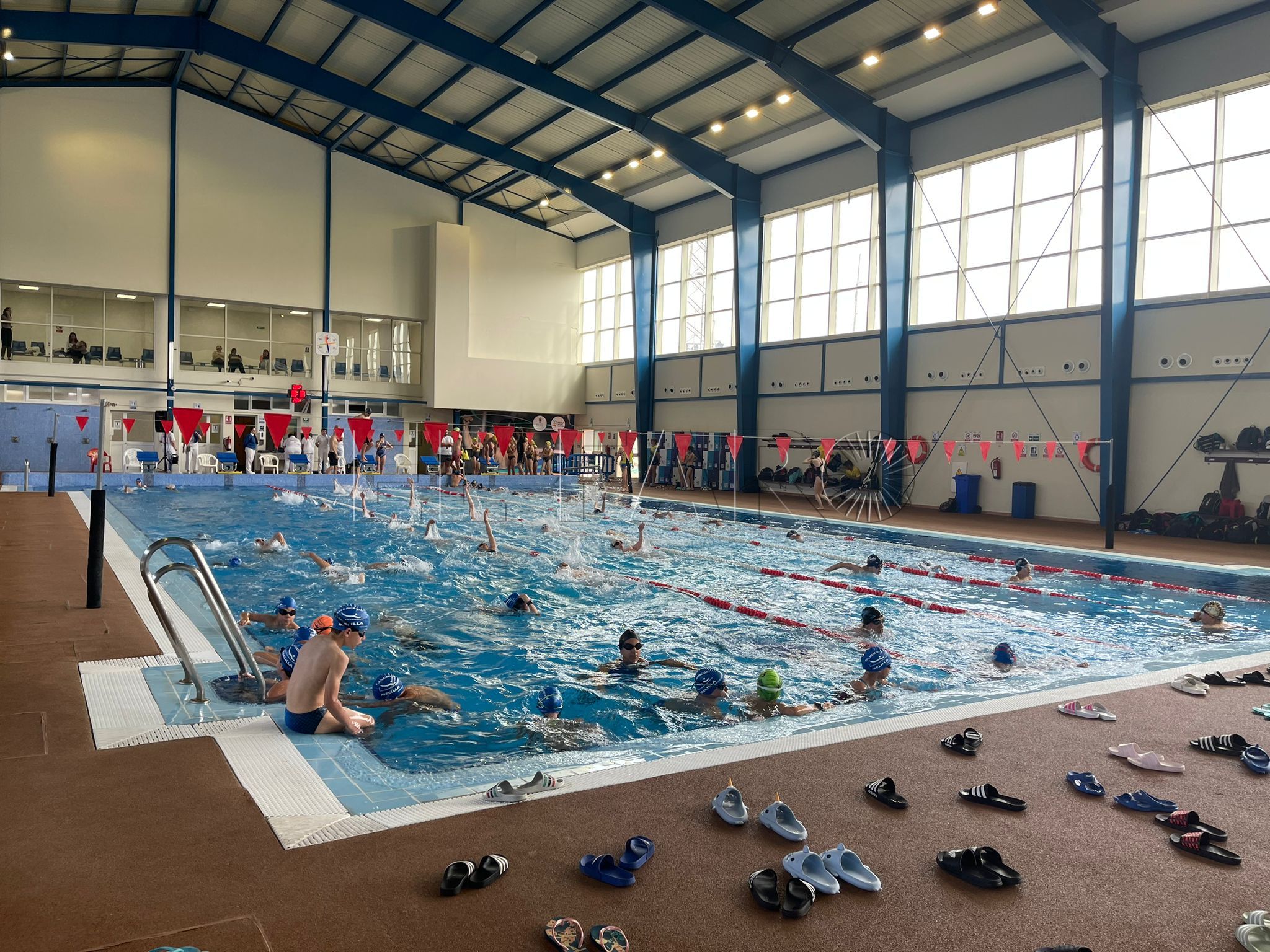 La natación melillense sube enteros