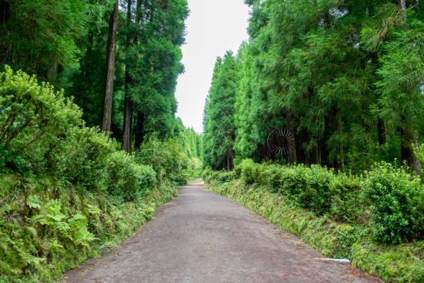 El sentido de pertenencia en un entorno de diversidad