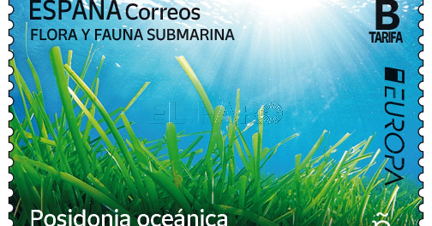 Correos participa en el concurso ‘El diseño filatélico más bonito de la serie ‘Europa 2024'' con el sello dedicado a la posidonia oceánica