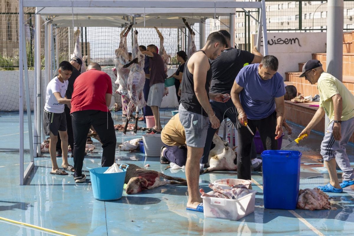 Los puntos de sacrificio se llenan de vecinos, siguiendo la tradición por el Eid al Adha