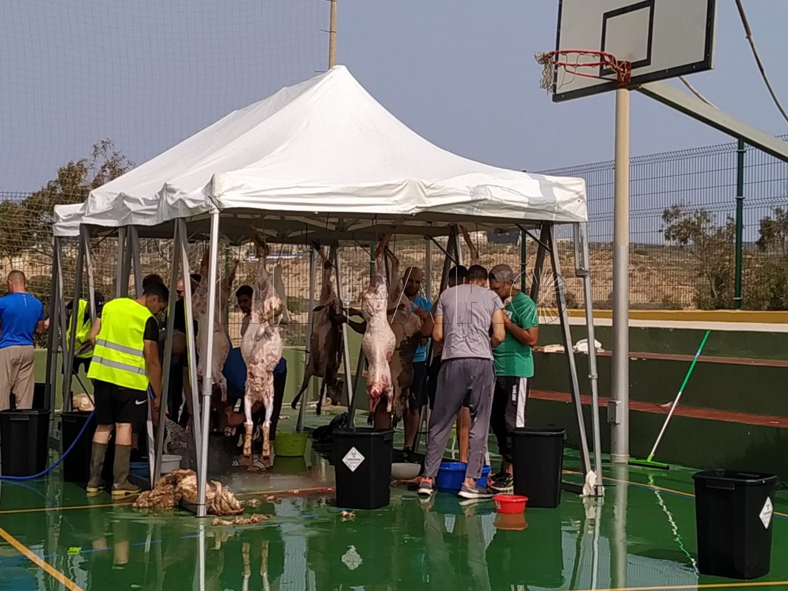 Los devotos melillenses se quejan del precio que ha tenido el cordero