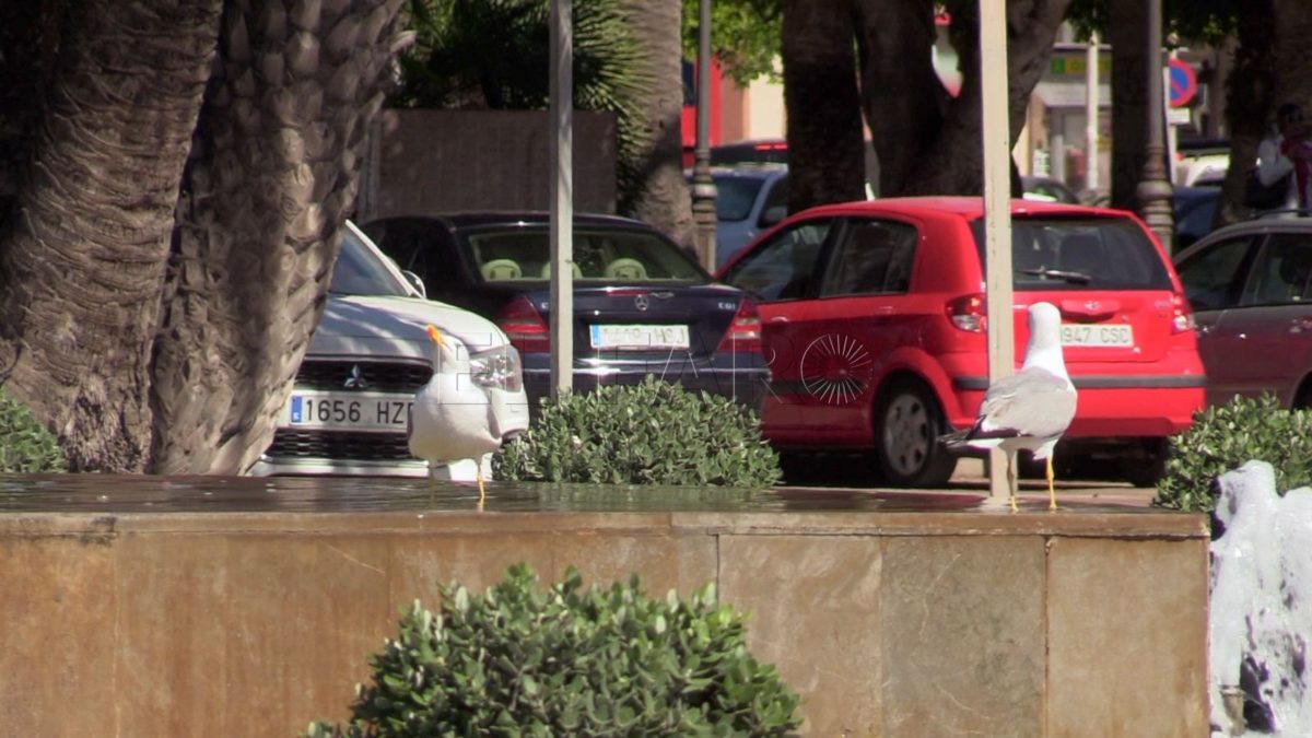 Vecinos del centro, "desesperados" buscan ayuda para poder descansar