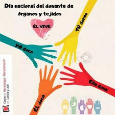 La ONT afirma en su efeméride que en 2023 aumentaron los transplates de órganos un 9%