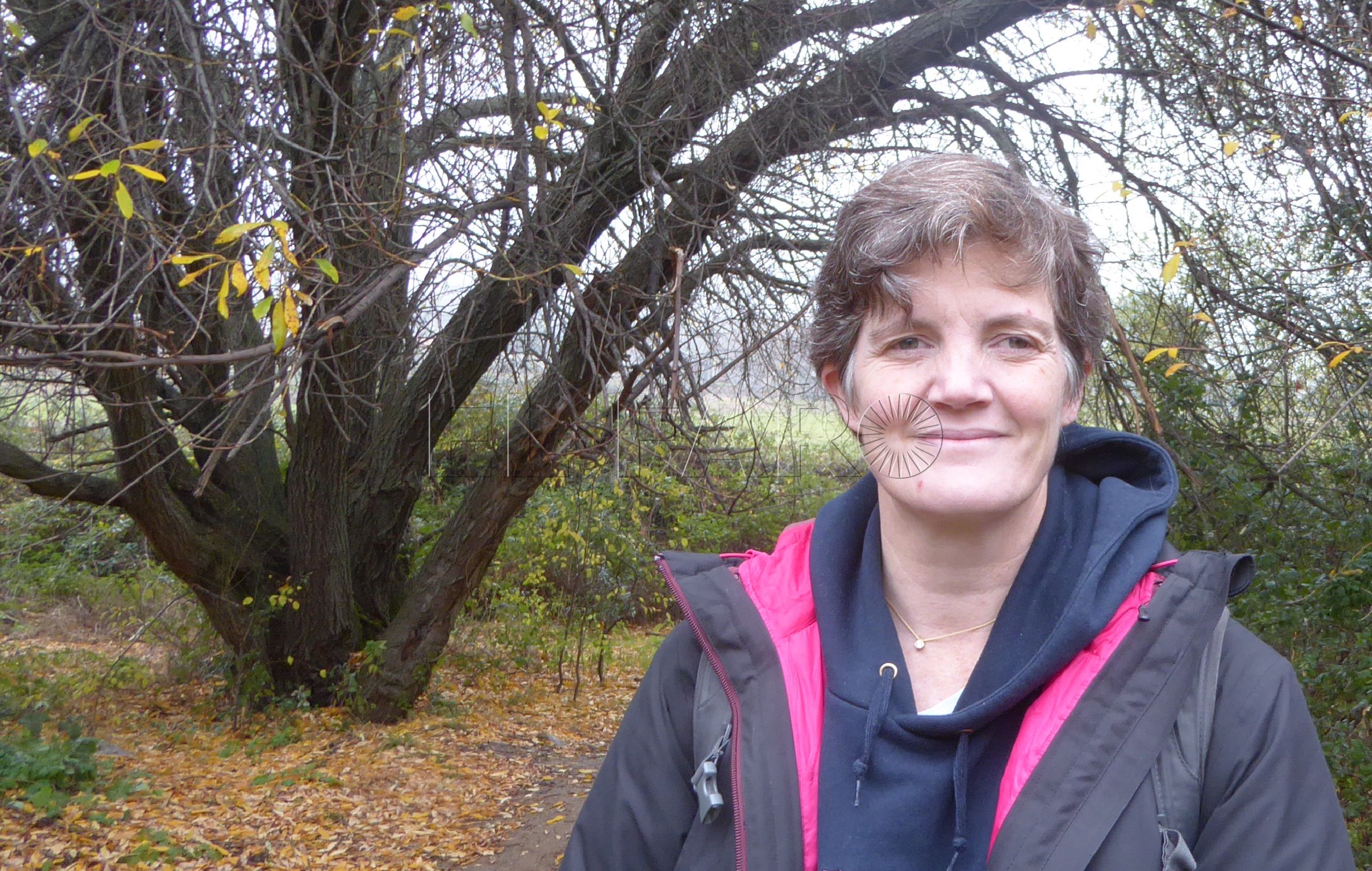 “El juego debe ser como el amor, o es libre o no es”